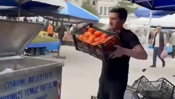 Domatesleri çöpe atan pazarcıya rekor ceza: Kamuoyunun tepkisi çığ gibi büyüyor