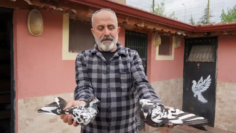 42 Yıldır Süregelen Bir Tutku: Hobiden Profesyonel Tesise Dönüşüm