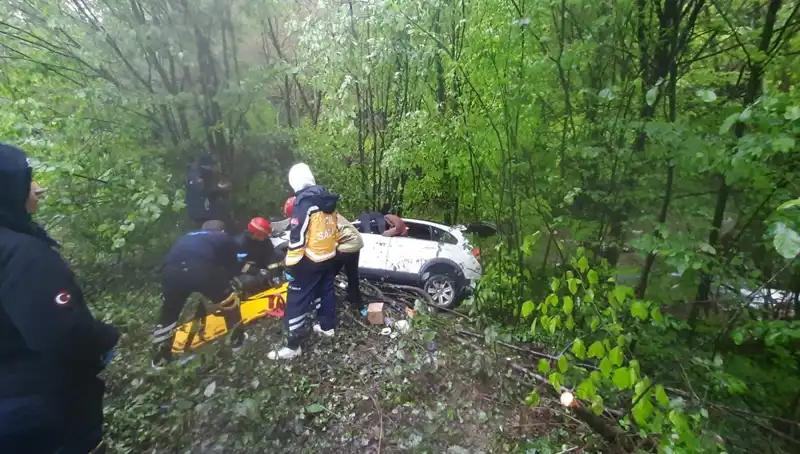 Direksiyon Hakimiyeti Kayboldu: Ormanda Gizli Kalan Facia ve Kayıplar