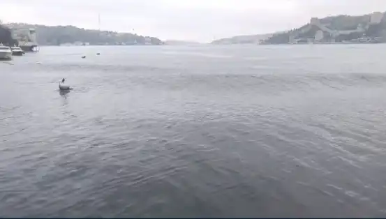 İstanbul'u Sarsan Deprem: 6,2 Büyüklüğündeki Sarsıntının Ardındaki Gerçekler