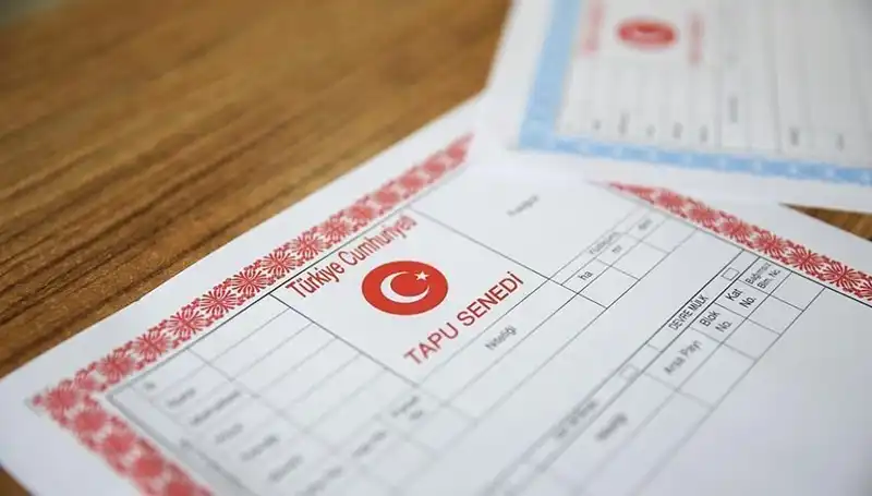 100 Milyonluk Çarkın Perde Arkası: Hisseli Tapu Gerçekleri