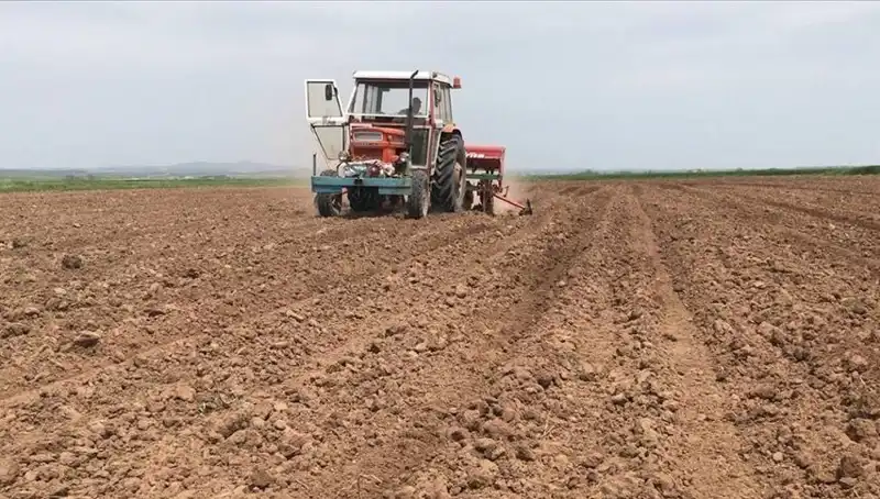 Son 35 Yılda Görülen En Kurak Mart: Yağışta Yüzde 59 Düşüş