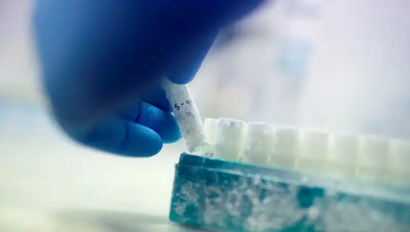 Tıbbi Felaket: Tek Bir Donör ile Binlerce Çocuğun Kaderi Değişti