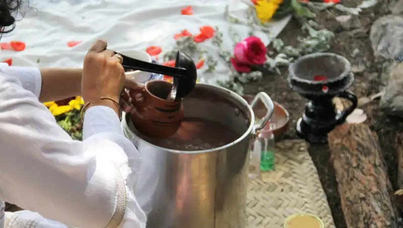 Ayahuasca’nın Sırrı: Şifa, Yasaklar ve Kültürel Derinlikler