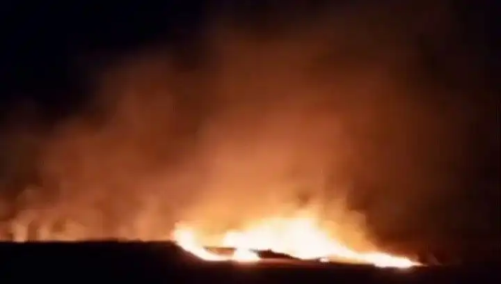 Tekirdağ'da 20 Dekar Buğday Ekili Alan Alevlere Teslim Oldu!