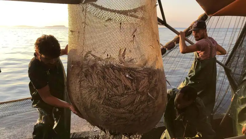 Balıkçılar Grev Kararı Aldı: İhlal Edenlere Ceza Yağmuru Bekleniyor