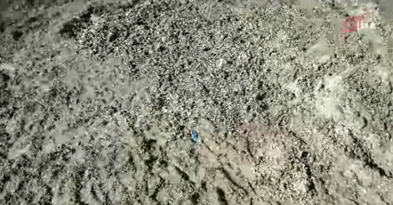 İstanbul'da Şok Eden Cinayet: Kayıp Çinli İş İnsanı Toprağa Gömülü Bulundu