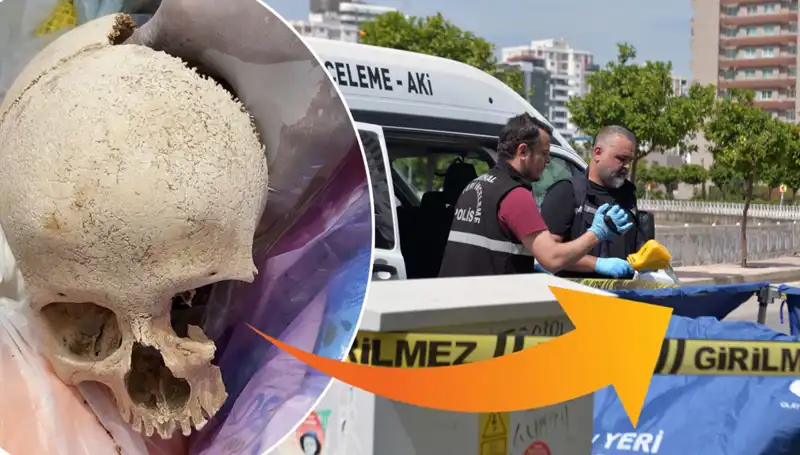 Çöp Kutusundan Çıkan Kafatasının Şok Eden Sırrı ve Uzman Doktora Gözaltı