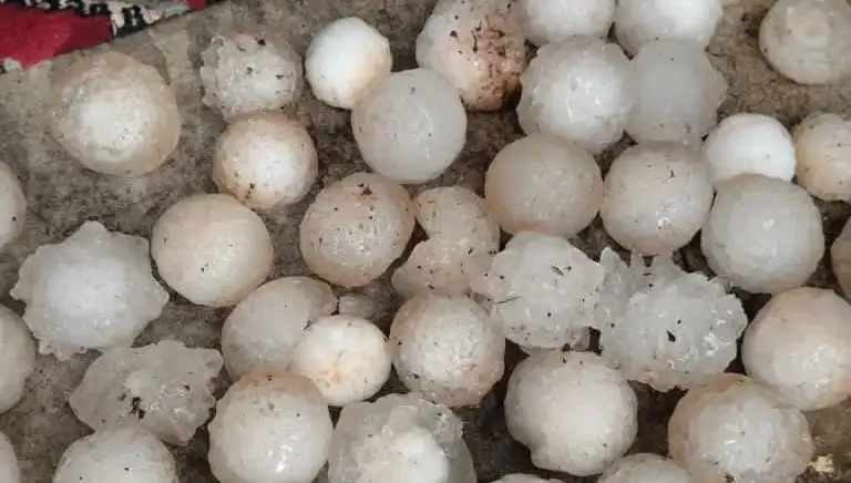 Şanlıurfa’da Beklenmedik Olumsuz Hava Şartları: Kar Topu Büyüklüğünde Dolu Yağdı