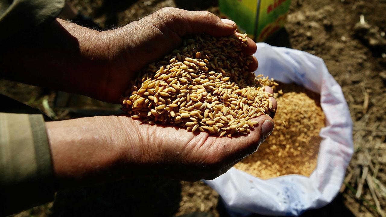 Tarım Kredi Marketleri Ata Tohumlarını Satışa Sunuyor