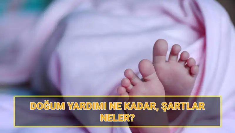 2025 Doğum Yardımı Başvuruları Açıldı: Çocuk Parası Hakkında Bilmeniz Gerekenler