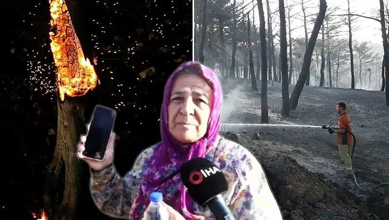 Çanakkale Orman Yangınları Kontrol Altına Alındı: Geride Bıraktığı İzler