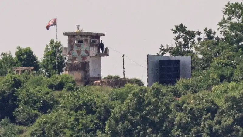 Kuzey Kore'den ABD'ye Tarihi Zeytin Dalı: Diplomasiye Yeni Bir Adım