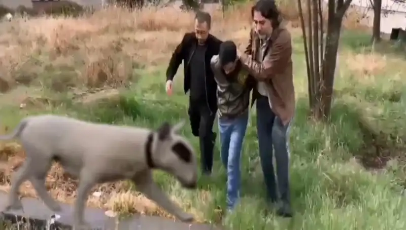 430 Bin Lira Değerindeki Şampiyon Köpek Hırsızı Nasıl Yakalandı?