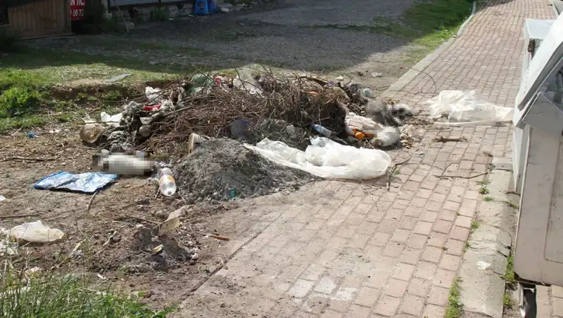 Antalya'da 10 Kedi Vahşice Öldürüldü: Sır Perdesi Aralanacak mı?