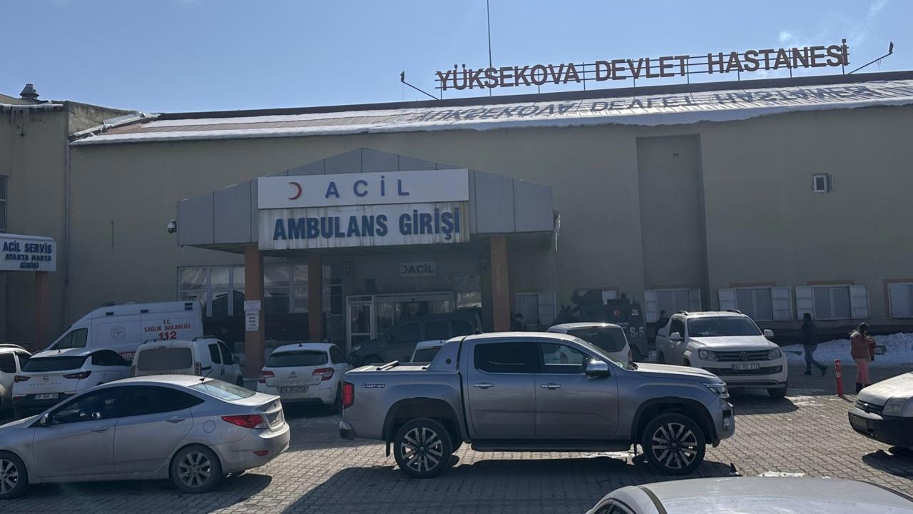 Hakkari'de Çocuğu Başıboş Köpeklerin Saldırdığı Olayında Hayatını Kaybetti