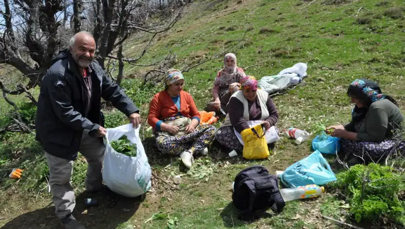 250 Lira Kilosuyla Yüzlerce Aileyi Geçindiriyor: 5 Saatlik Yürüyüş