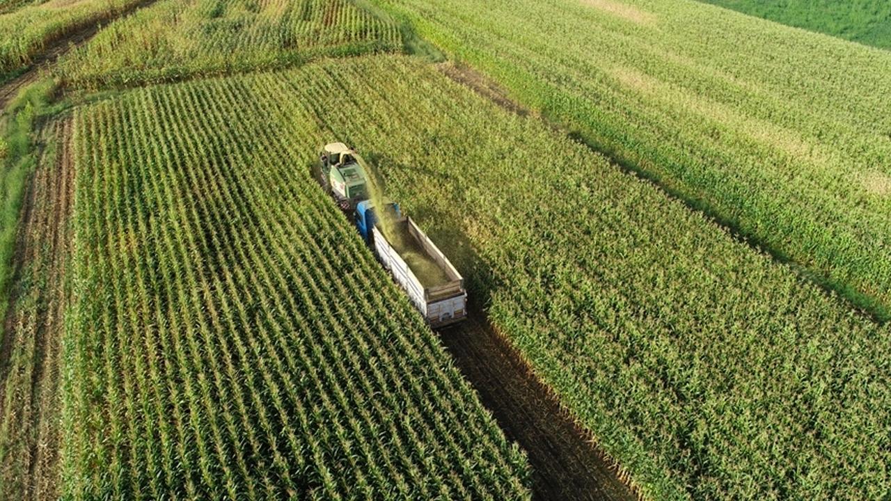 Üreticilere 2.3 Milyar Lira Destekleme Ödemesi Yapılacak