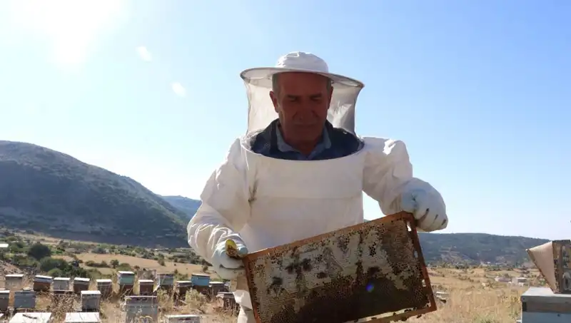 25 Yıl Sonra Mobilyadan Soyağa: Bir Girişimcinin Başarı Hikayesi