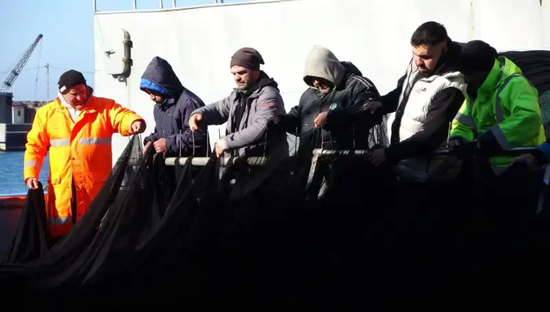 Hamsi Avında Kriz: Tekneler Neden Erken Paydos Etti?