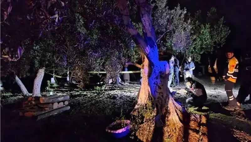 Çiftlikteki Baltalı Vahşet İle İlgili Tutuklama: Olayın Ardındaki Gerçekler