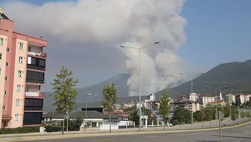 Denizli’deki Orman Yangını: Şüpheli Gözaltına Alındı, Halk Tedirgin!