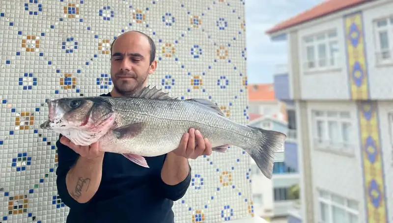 7,5 Kiloluk Dev Levrek: Balıkçılığı Zenginleştiren Nadir Yakalama
