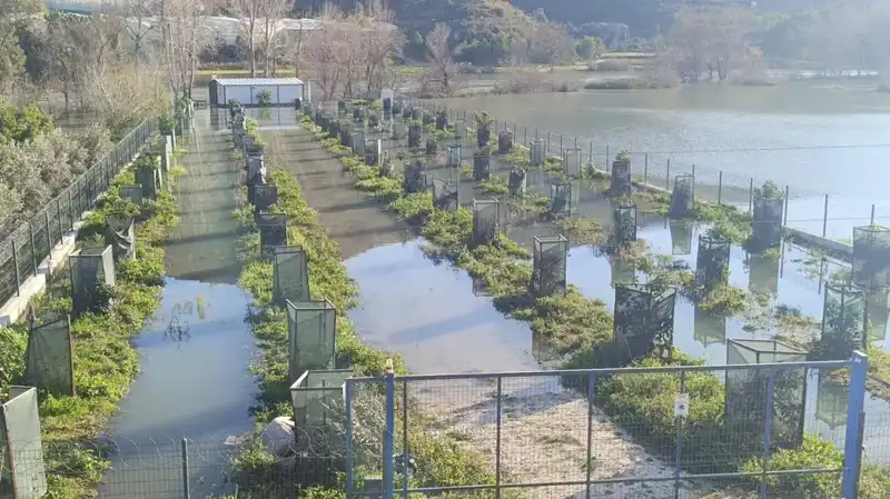 Irmak Taşınca İnşaat Alanı Sular Altında Kaldı: Olası Sonuçlar Neler?