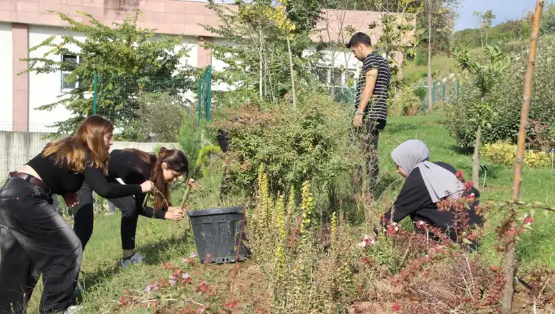 Düzce’den Dünyaya Açılan Kapı: Hayallerin Gerçeğe Dönüşümü
