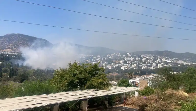 Muğla'daki Orman Yangınları Kontrol Altına Alındı: Zarar Ne Derecede?