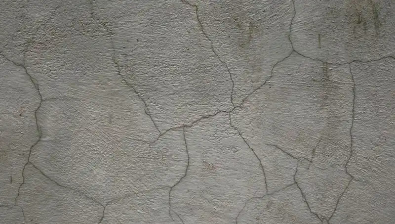 Şimdiye Kadar Gördüğünüz En Yenilikçi Madde: Canlı Beton