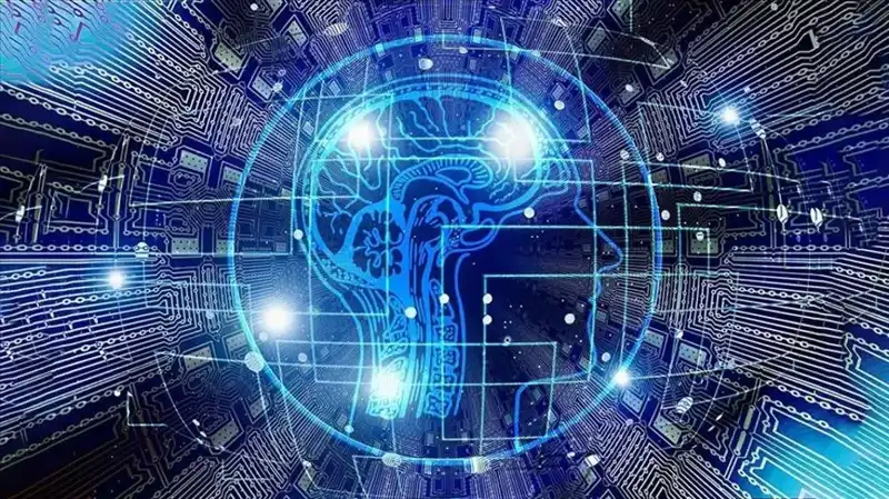 Kripto Dünyasında Karanlık Gölgeler: Bot Sürüleri Dolandırıcılığın Yeni Silahı