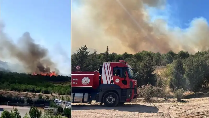 Gebze'de Alevler İçinde Kalan Ormanlar: Yangının Ardındaki Gerçekler