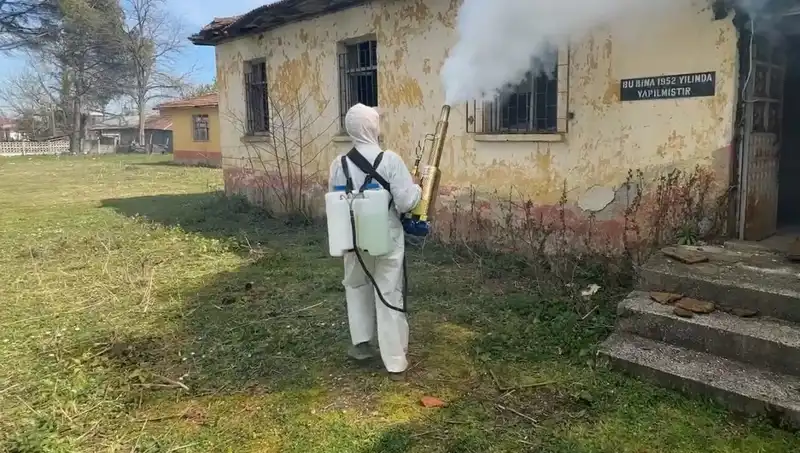 Çiftçiler, Kahverengi Kokarcaya Karşı Seferberlik Başlattı: Mücadele ve Çözüm Yolları