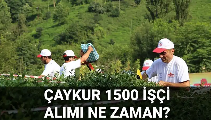 Çaykur İşçi Alımı İçin Başvuru Tarihleri ve Süreçteki Son Gelişmeler