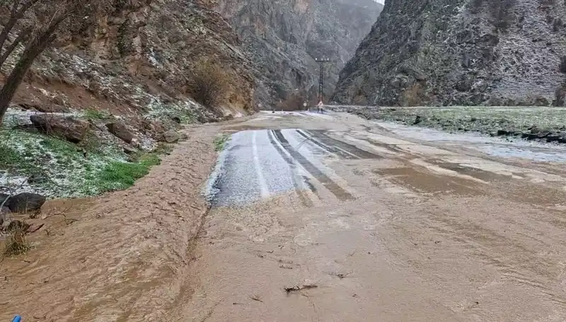 Tunceli'deki Dolu ve Sahe'nin Oluşturduğu Olumsuz Etkiler Üzerine Derinlemesine Bir İnceleme