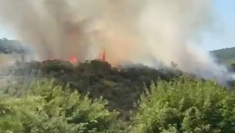 İstanbul'da Orman Yangını: Acil Tahliye Üzerine Alınan Önlemler Neler?