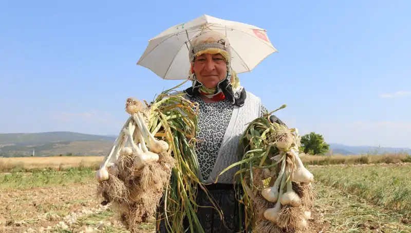 Kavurucu Sıcaklarda Çalışarak Günlük Bin 200 TL Kazanmanın Hikayesi