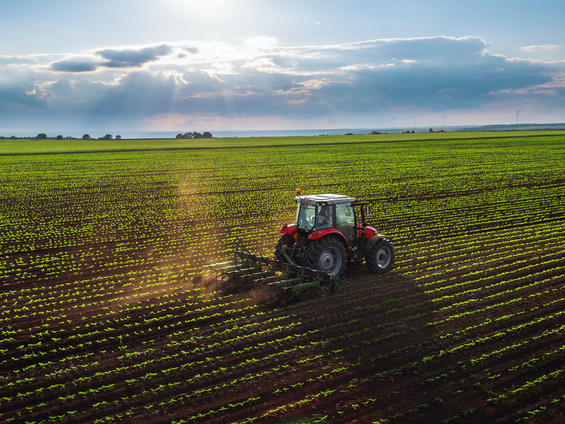 Tarımdaki Kriz: Ekonomik Büyüme Çare Olmuyor Mu?